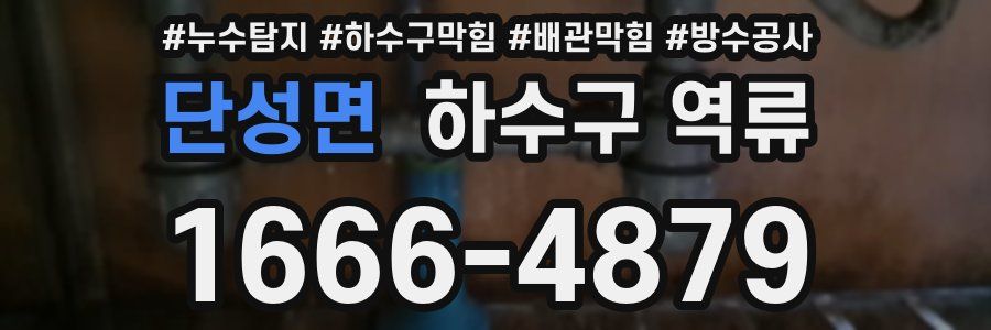 단성면 하수구 역류