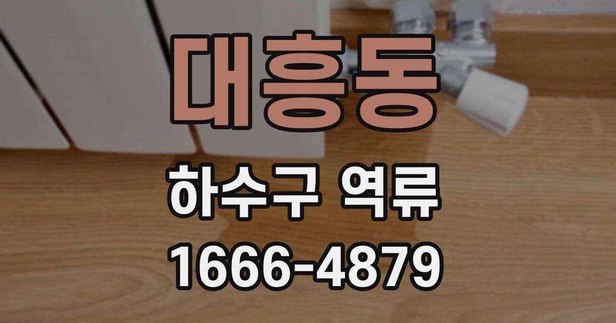 대흥동 하수구 역류