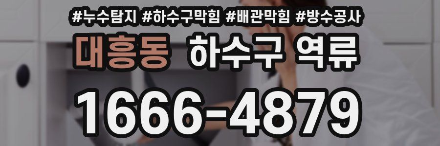 대흥동 하수구 역류
