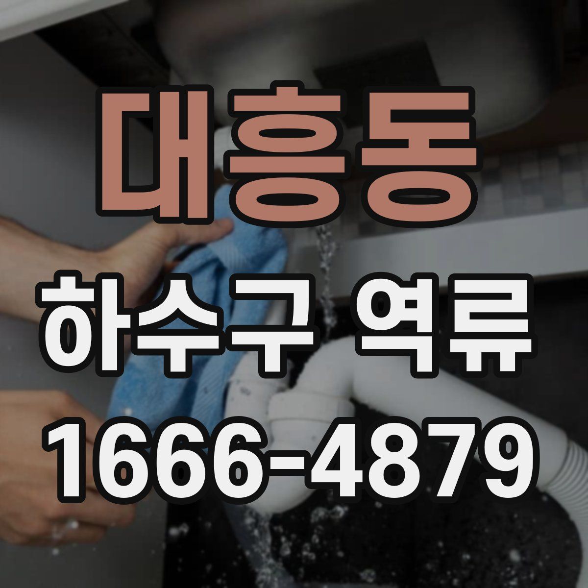 대흥동 하수구 역류