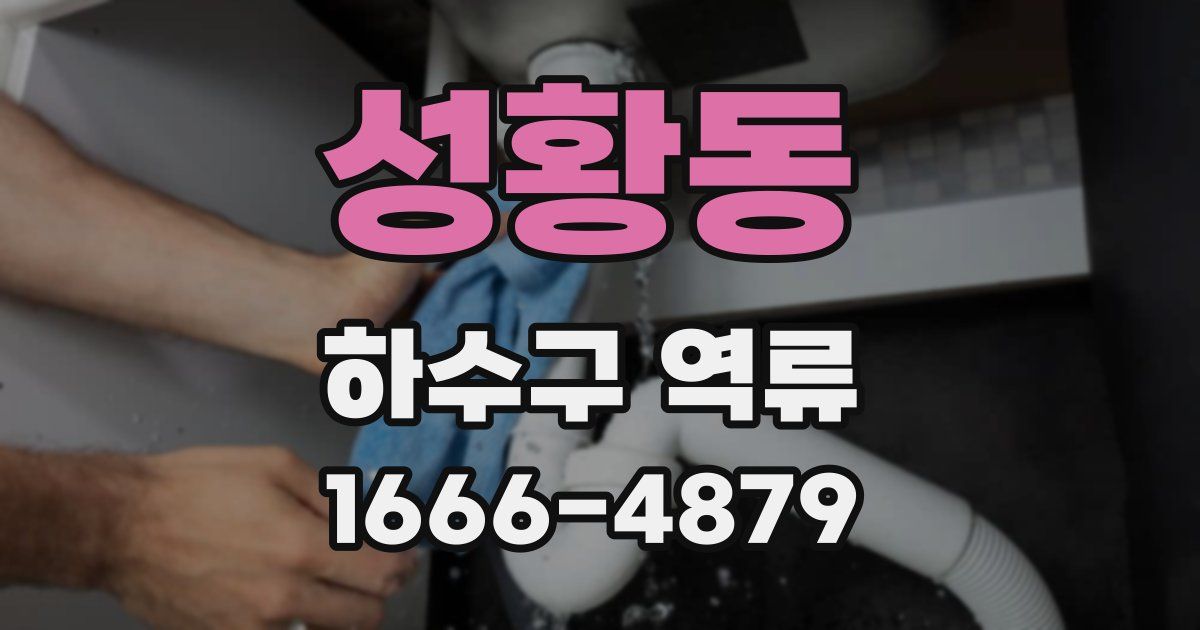 성황동 하수구 역류