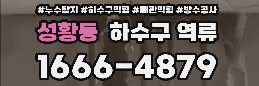 성황동 하수구 역류