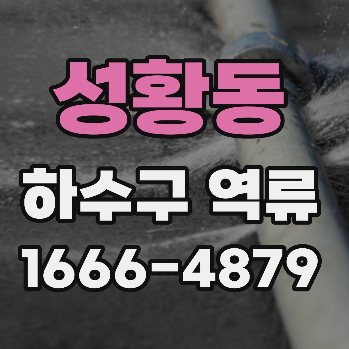성황동 하수구 역류