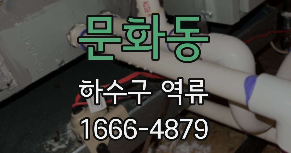 문화동 하수구 역류