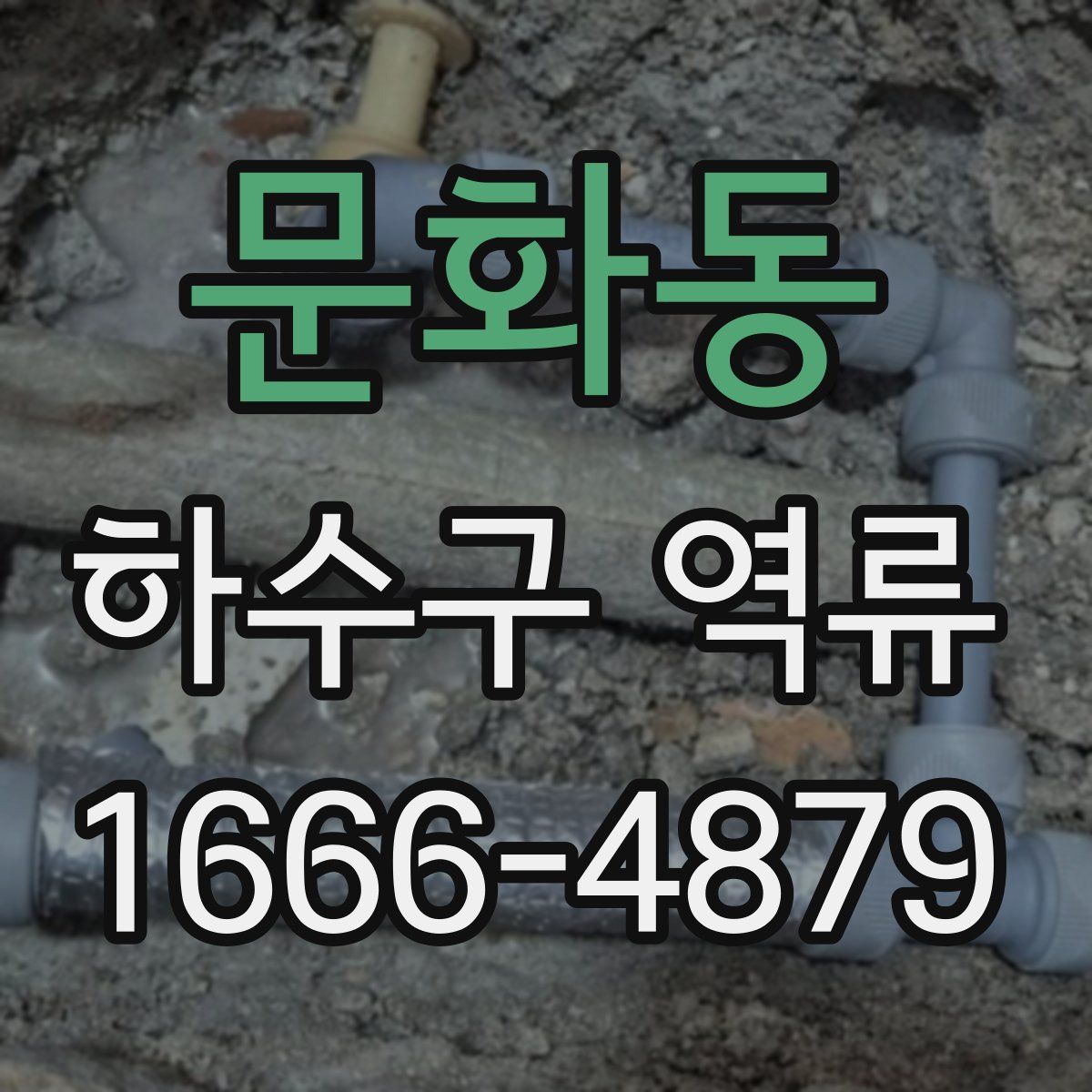 문화동 하수구 역류