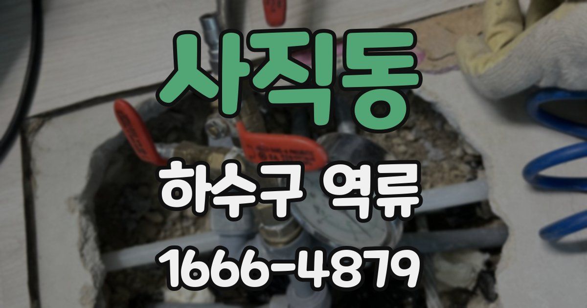 사직동 하수구 역류