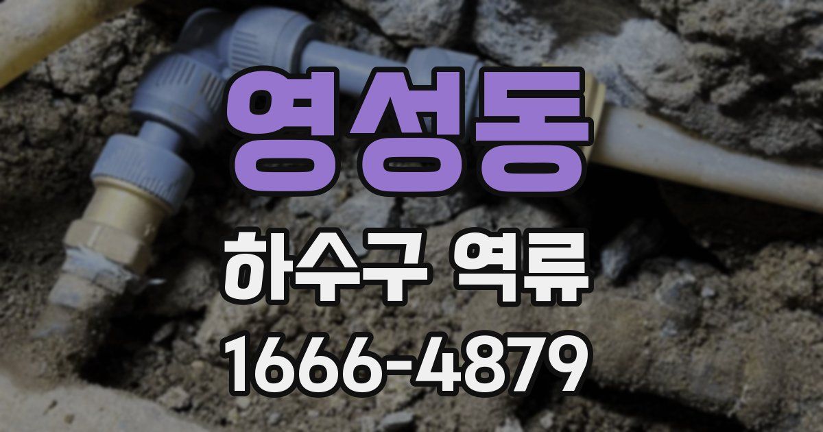 영성동 하수구 역류