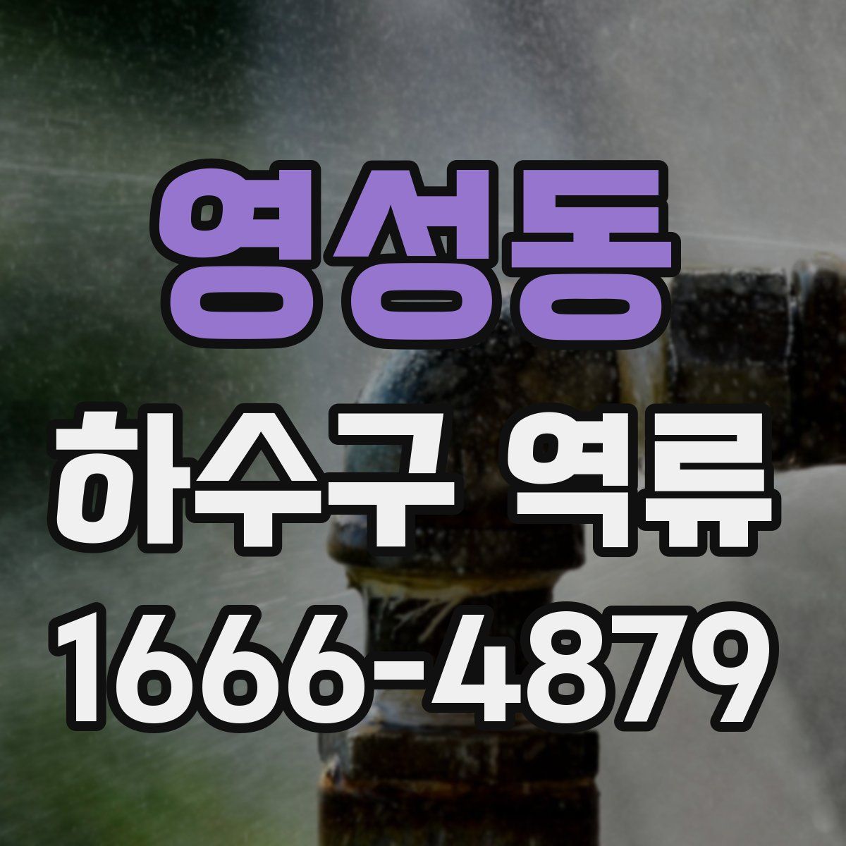 영성동 하수구 역류