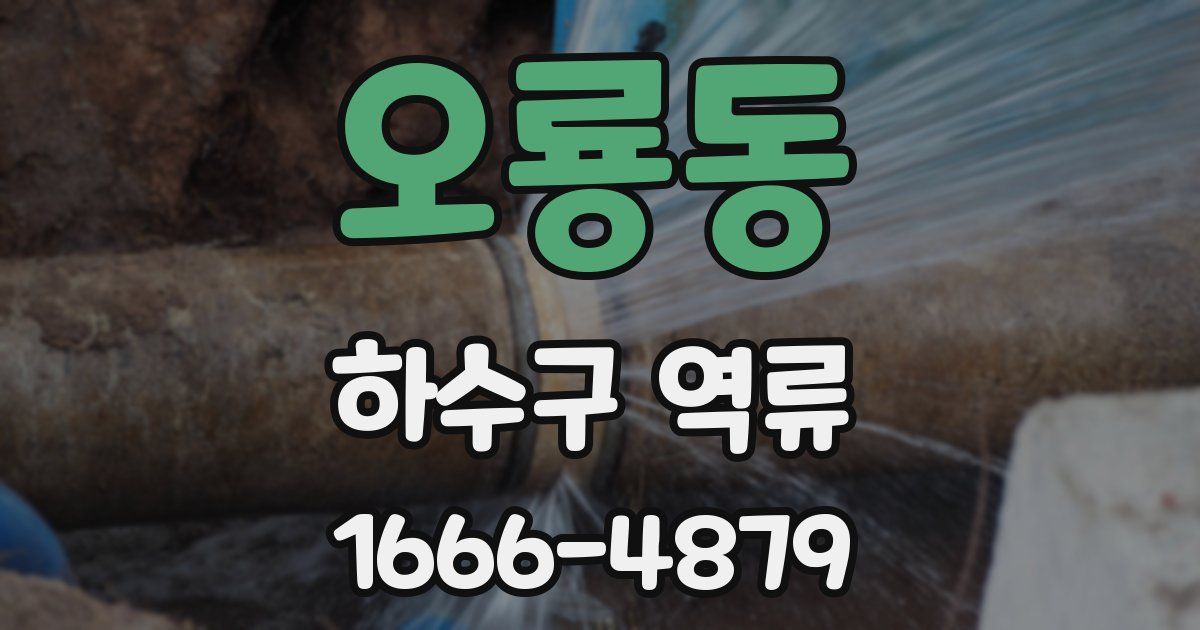 오룡동 하수구 역류