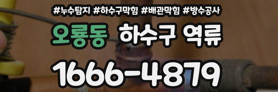 오룡동 하수구 역류