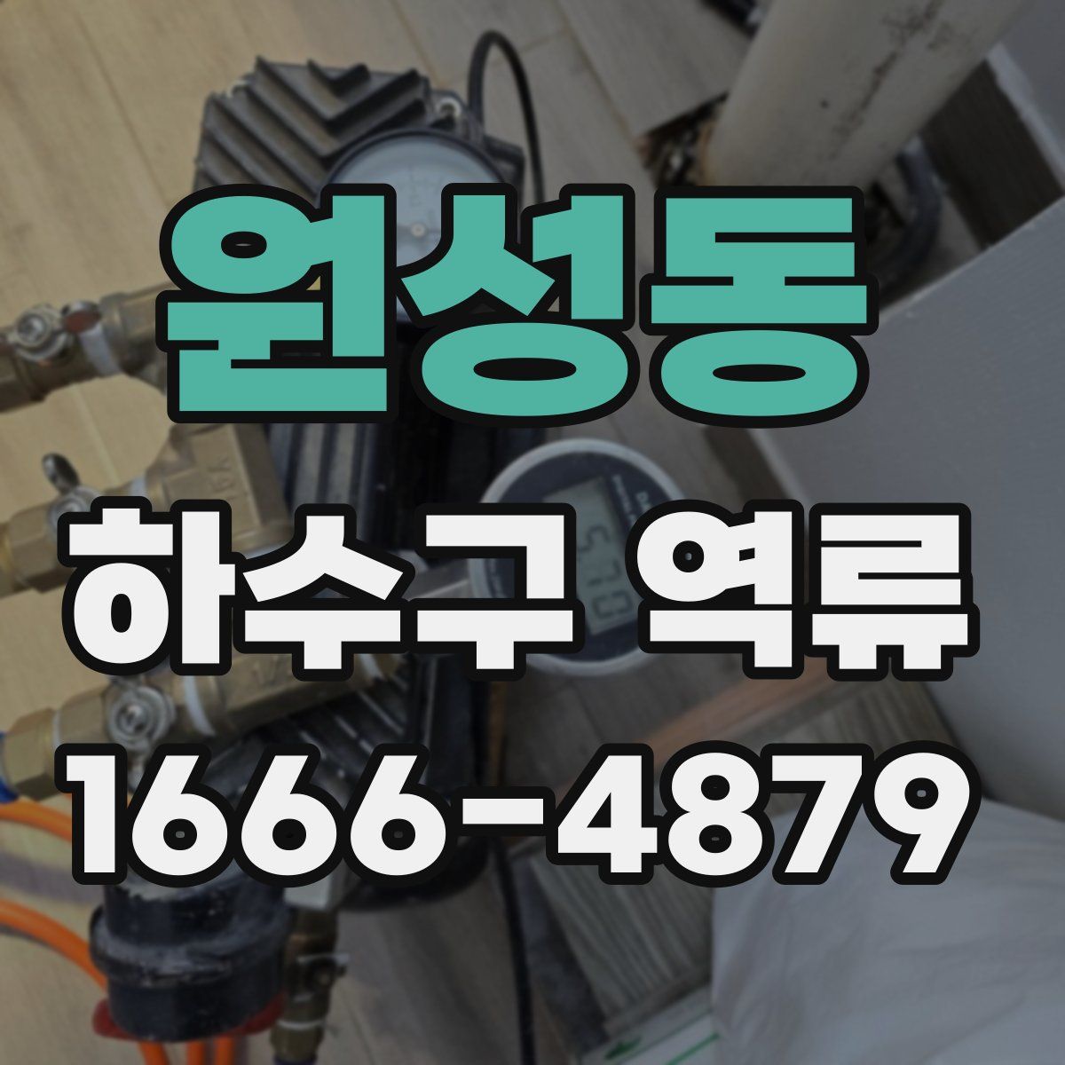 원성동 하수구 역류