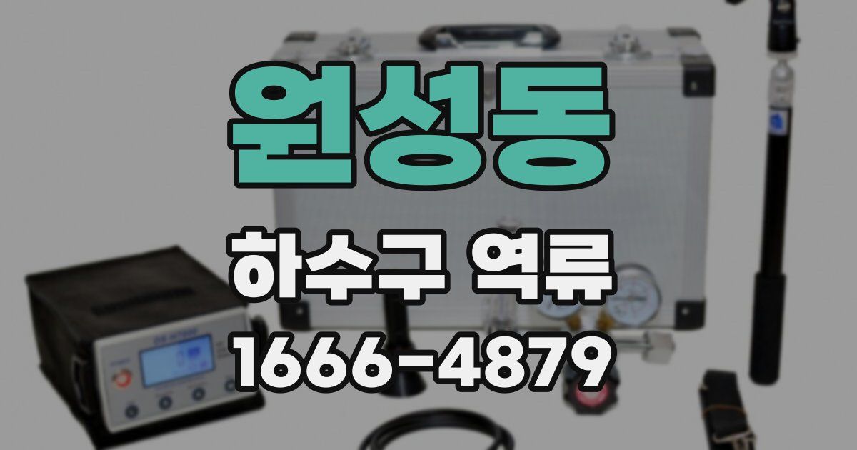 원성동 하수구 역류