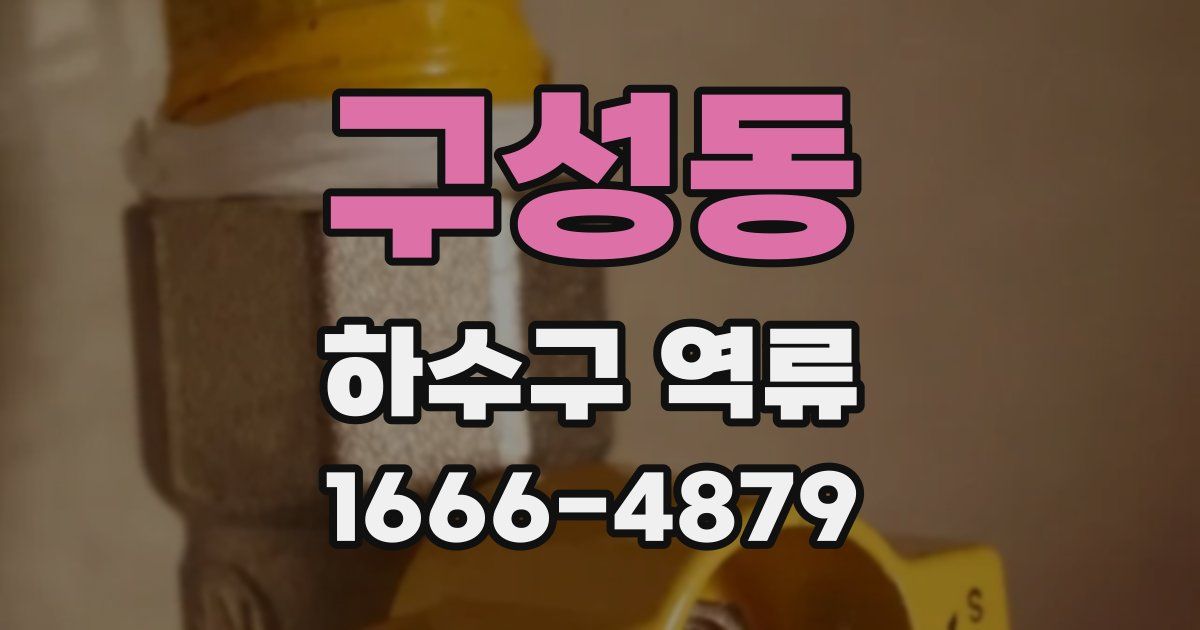 구성동 하수구 역류