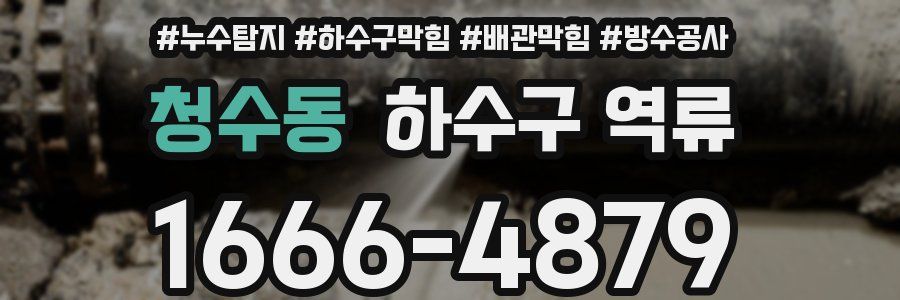 청수동 하수구 역류
