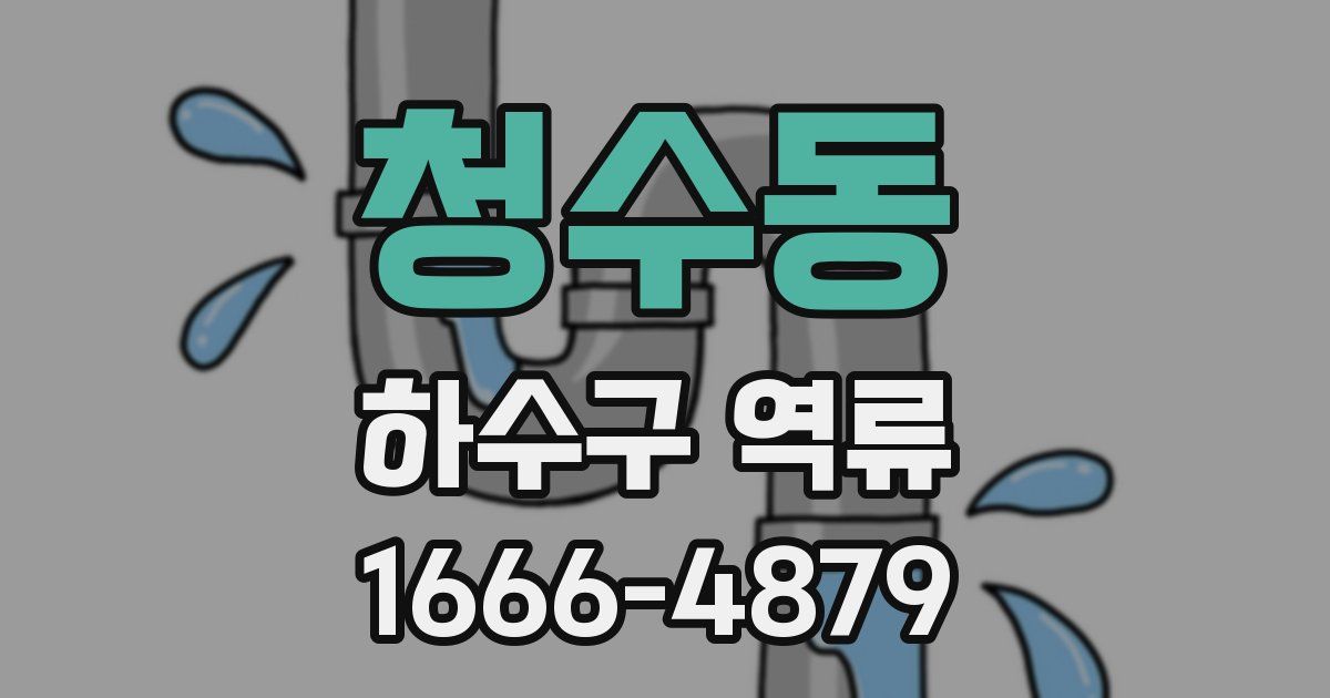 청수동 하수구 역류