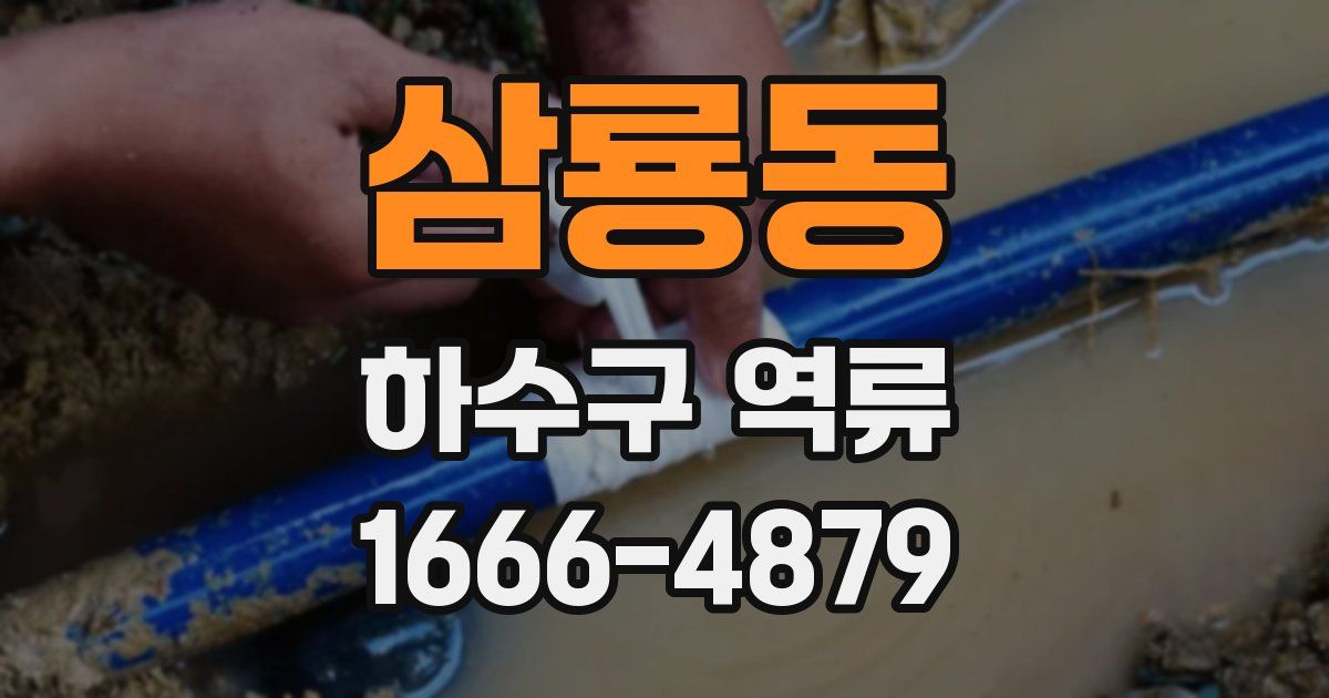 삼룡동 하수구 역류