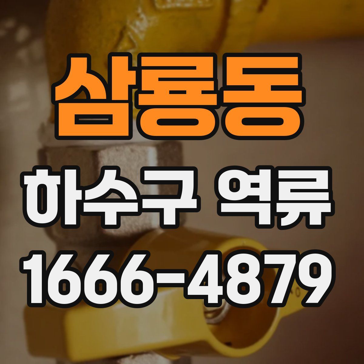 삼룡동 하수구 역류