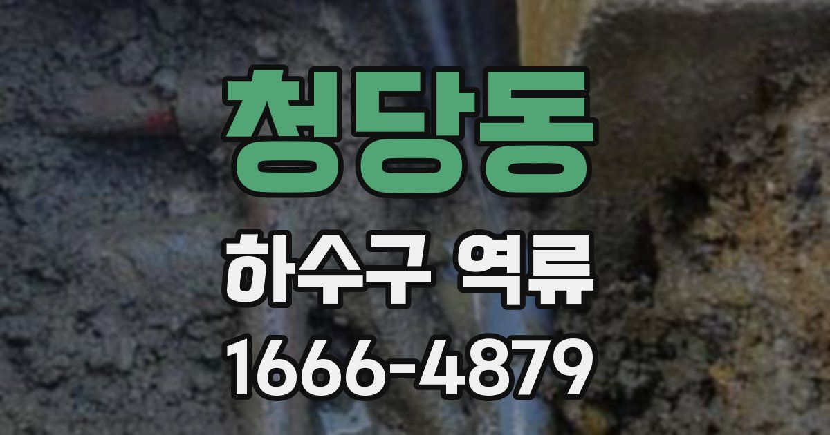 청당동 하수구 역류