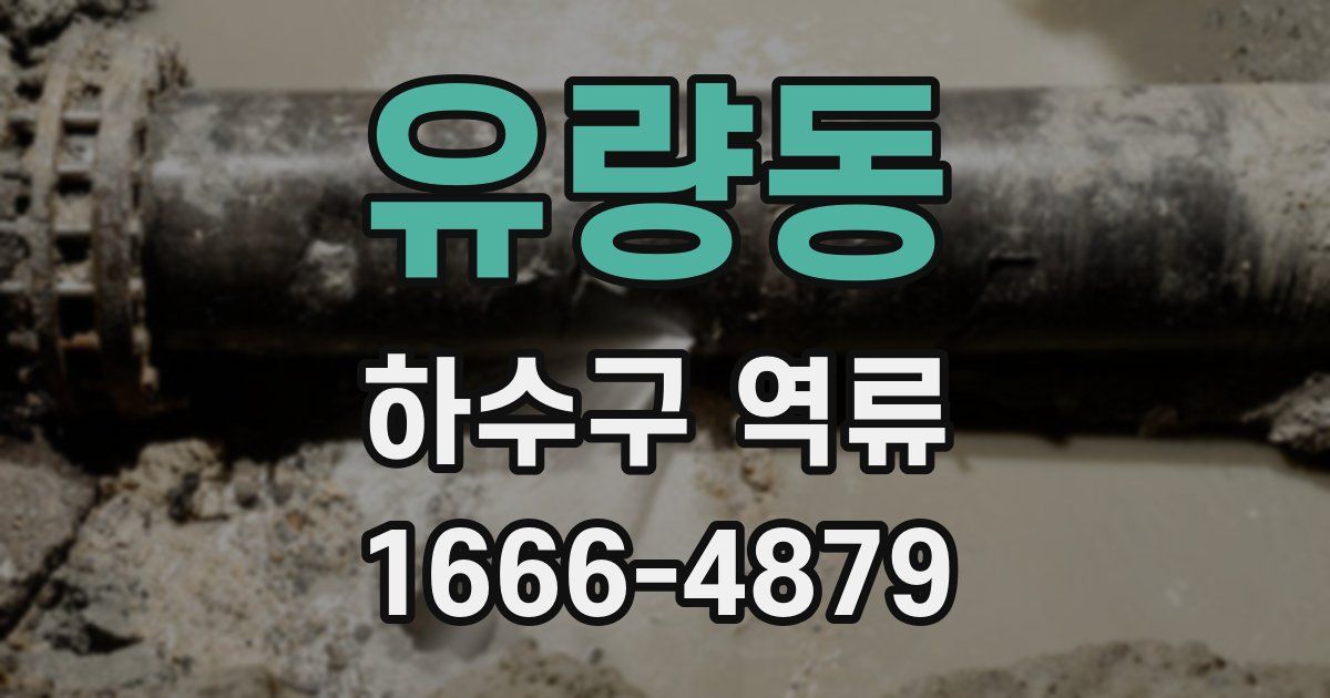 유량동 하수구 역류