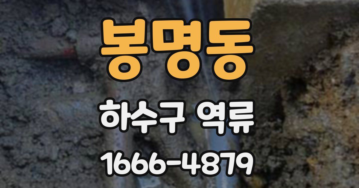 봉명동 하수구 역류