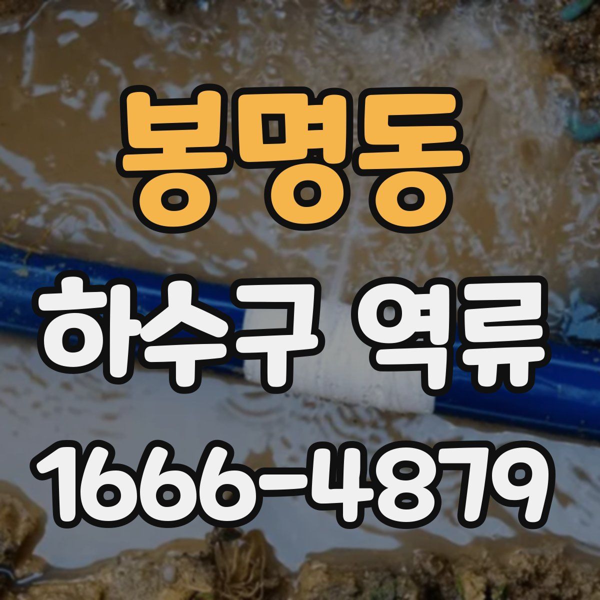 봉명동 하수구 역류