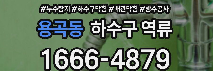 용곡동 하수구 역류