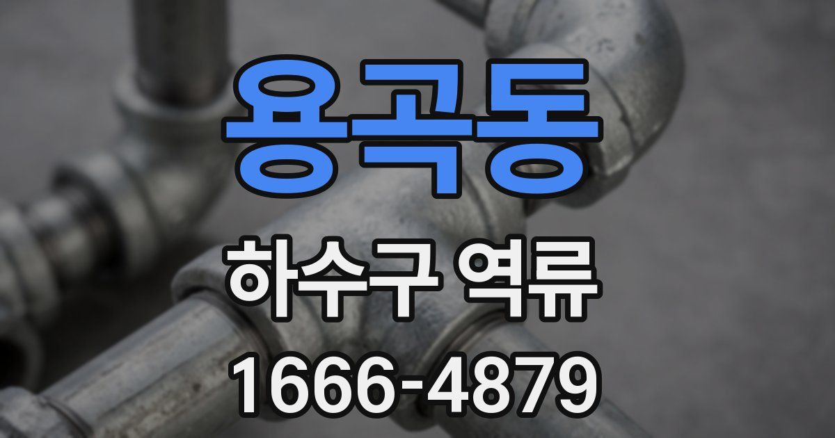 용곡동 하수구 역류