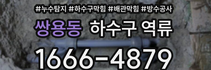 쌍용동 하수구 역류
