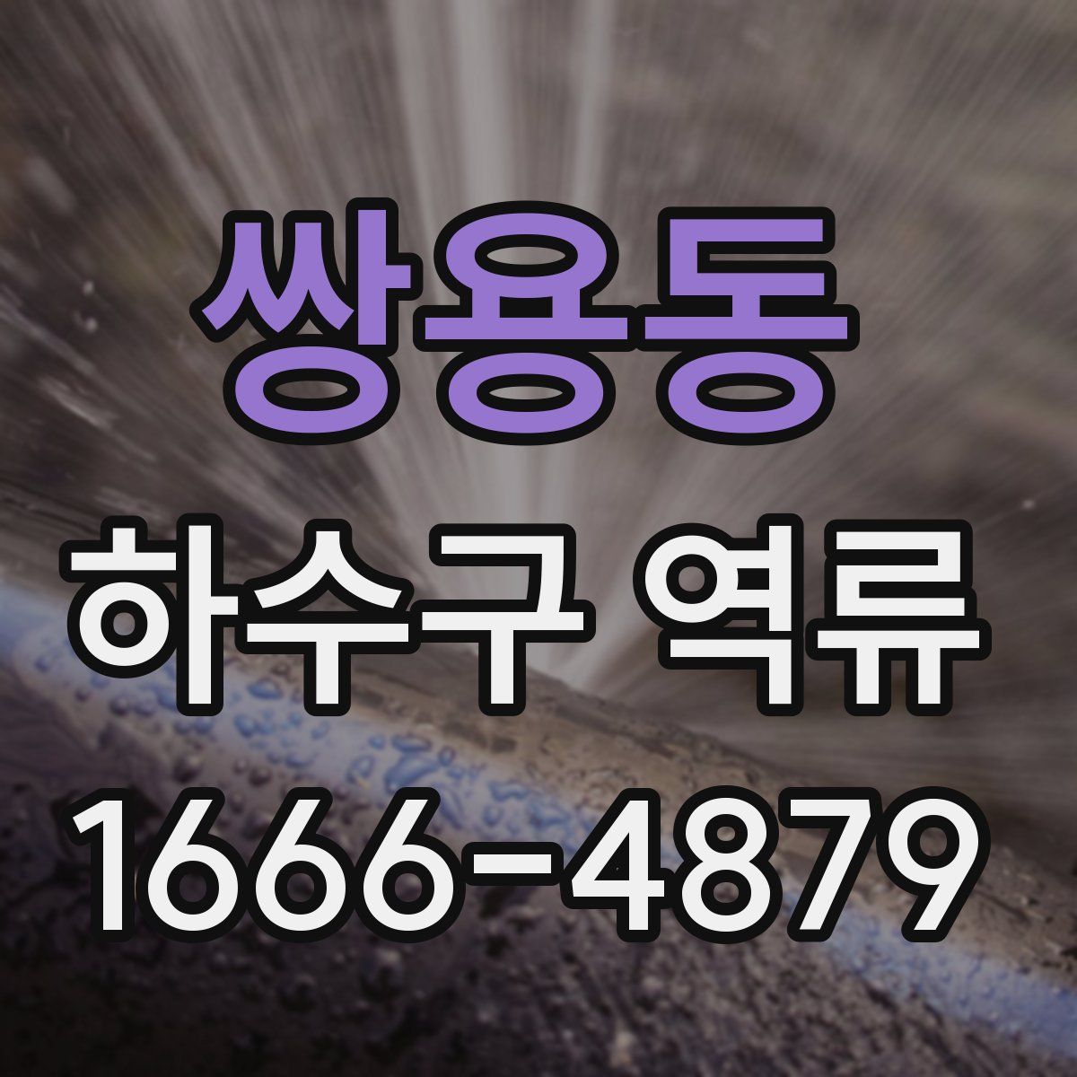 쌍용동 하수구 역류