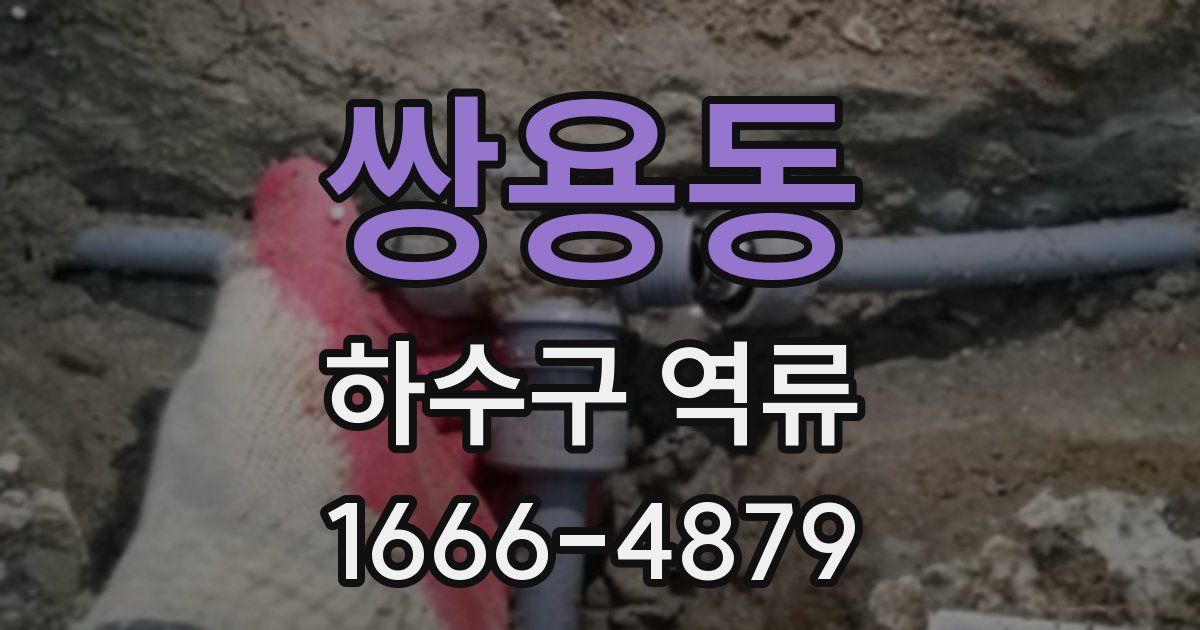 쌍용동 하수구 역류