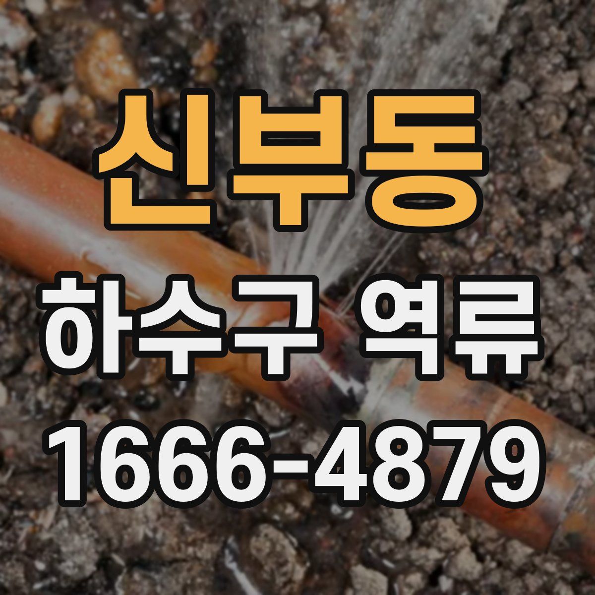 신부동 하수구 역류