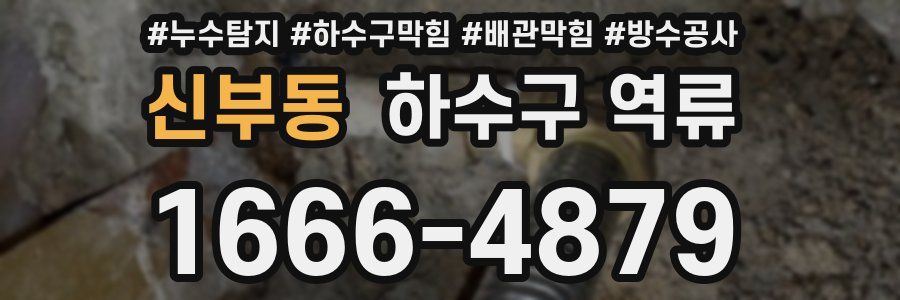 신부동 하수구 역류