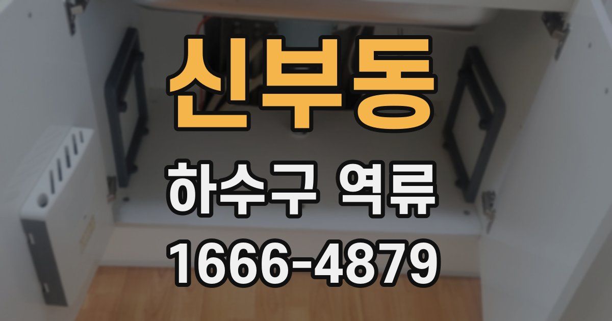 신부동 하수구 역류
