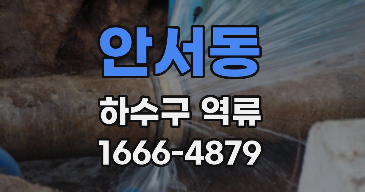 안서동 하수구 역류