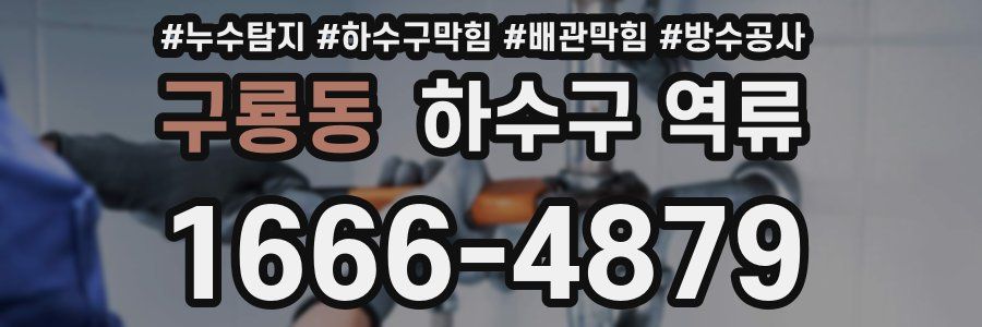 구룡동 하수구 역류
