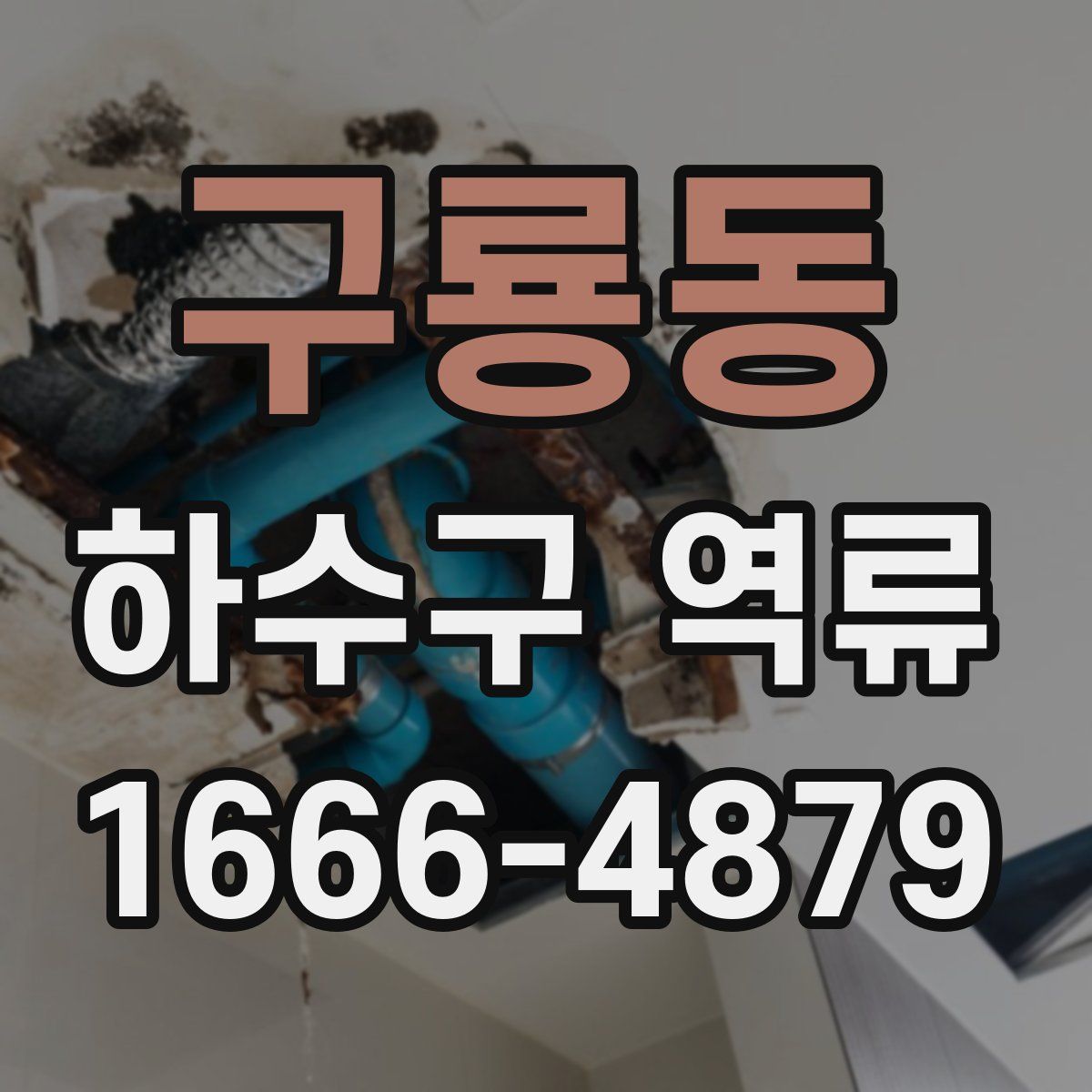 구룡동 하수구 역류
