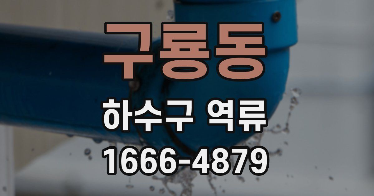 구룡동 하수구 역류