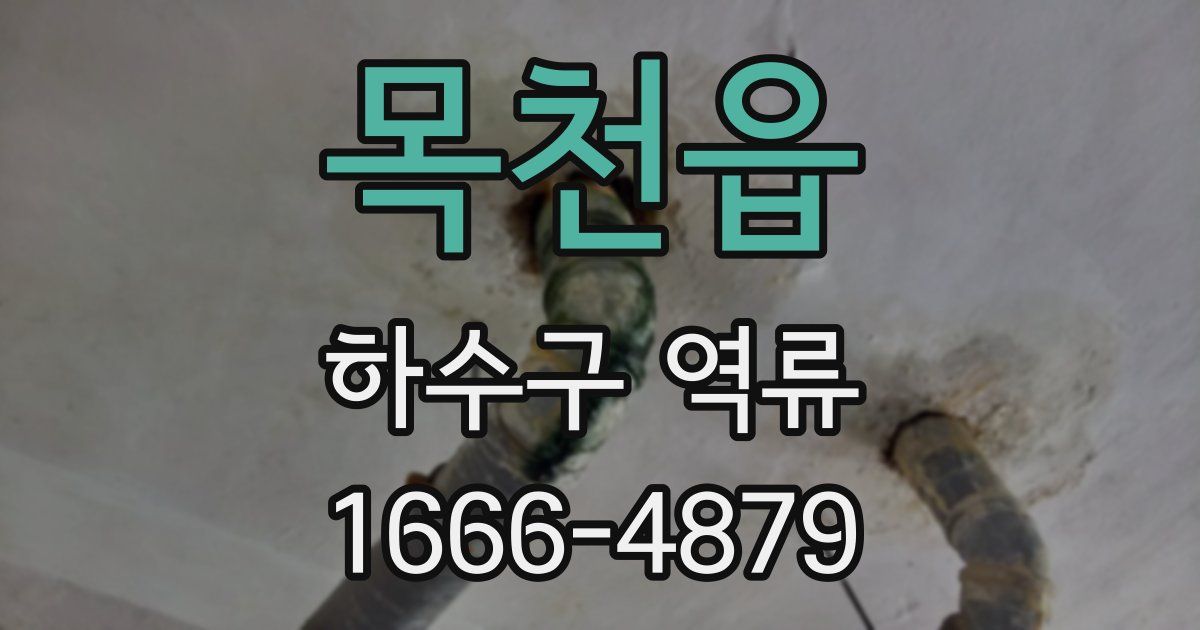 목천읍 하수구 역류