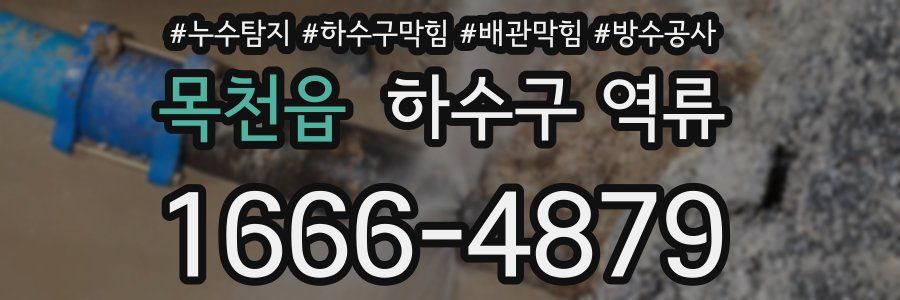 목천읍 하수구 역류