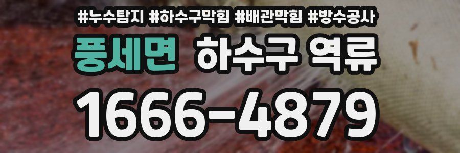 풍세면 하수구 역류