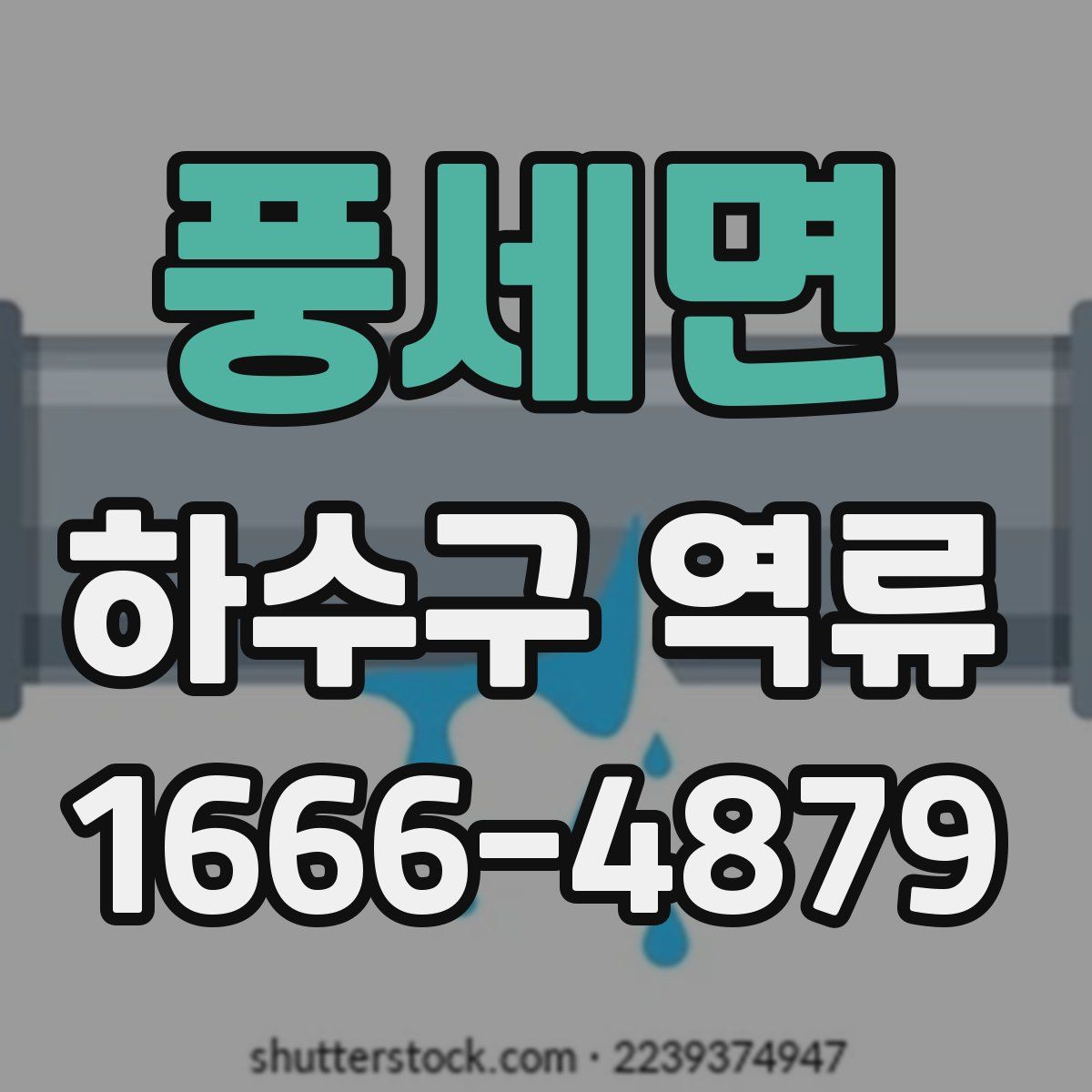 풍세면 하수구 역류