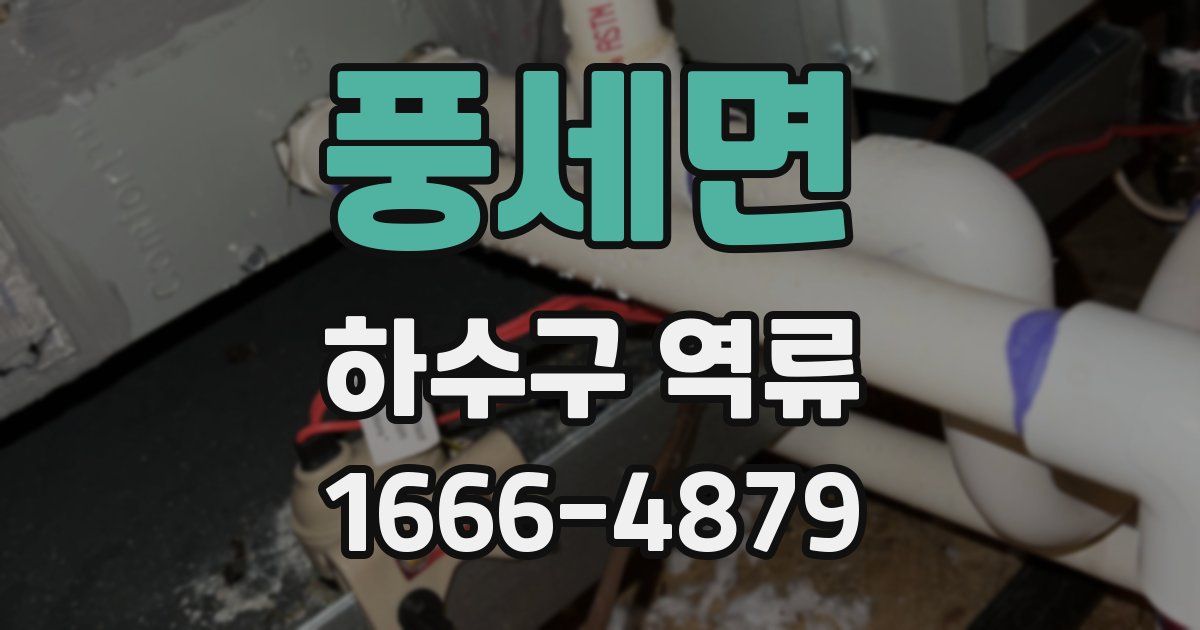 풍세면 하수구 역류