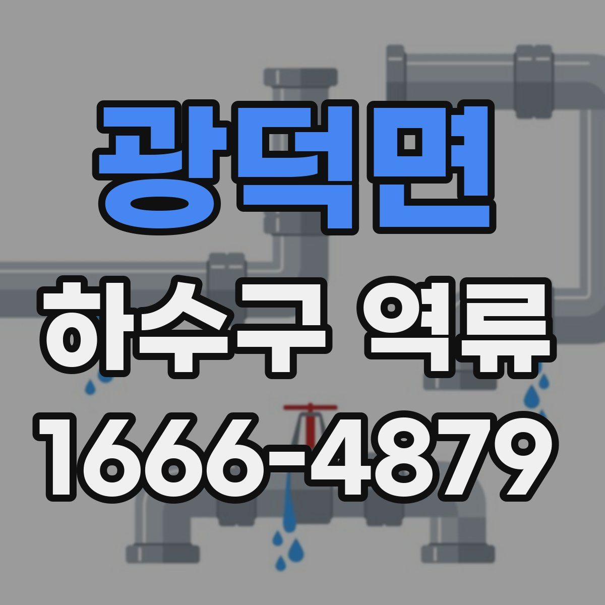 광덕면 하수구 역류