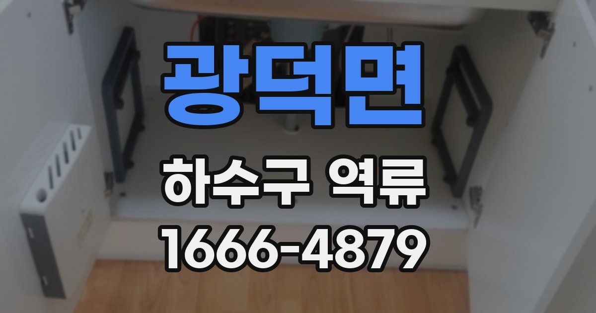 광덕면 하수구 역류