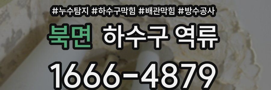 북면 하수구 역류