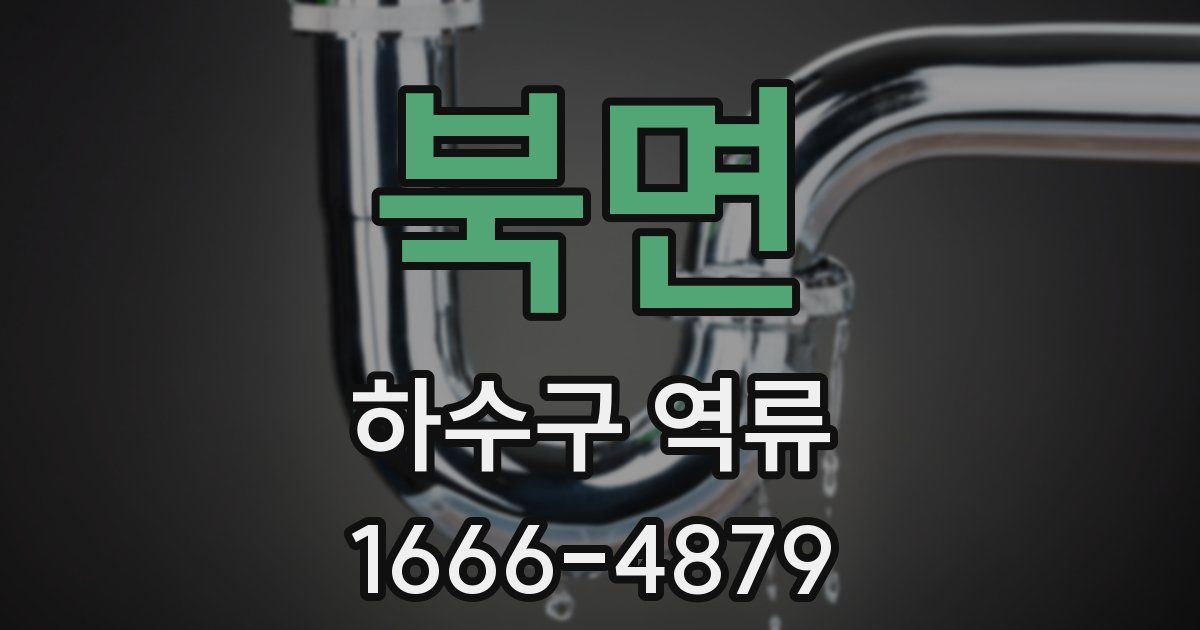 북면 하수구 역류