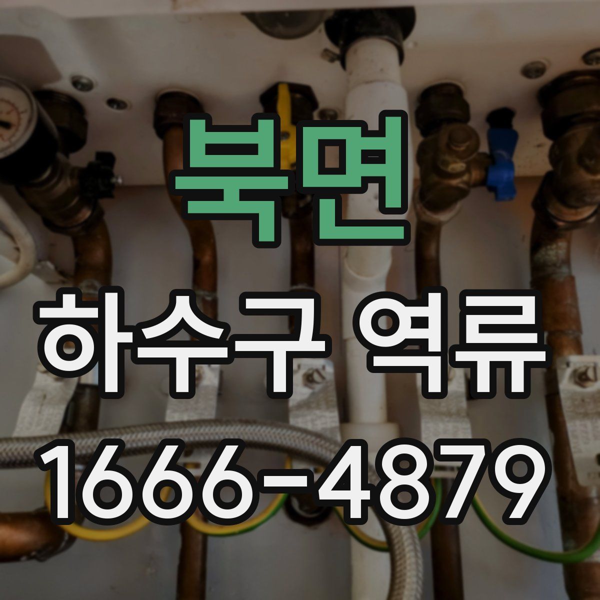 북면 하수구 역류