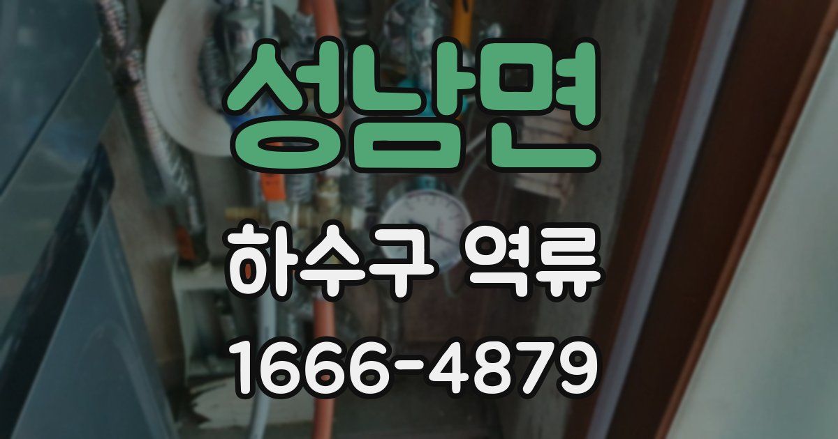 성남면 하수구 역류