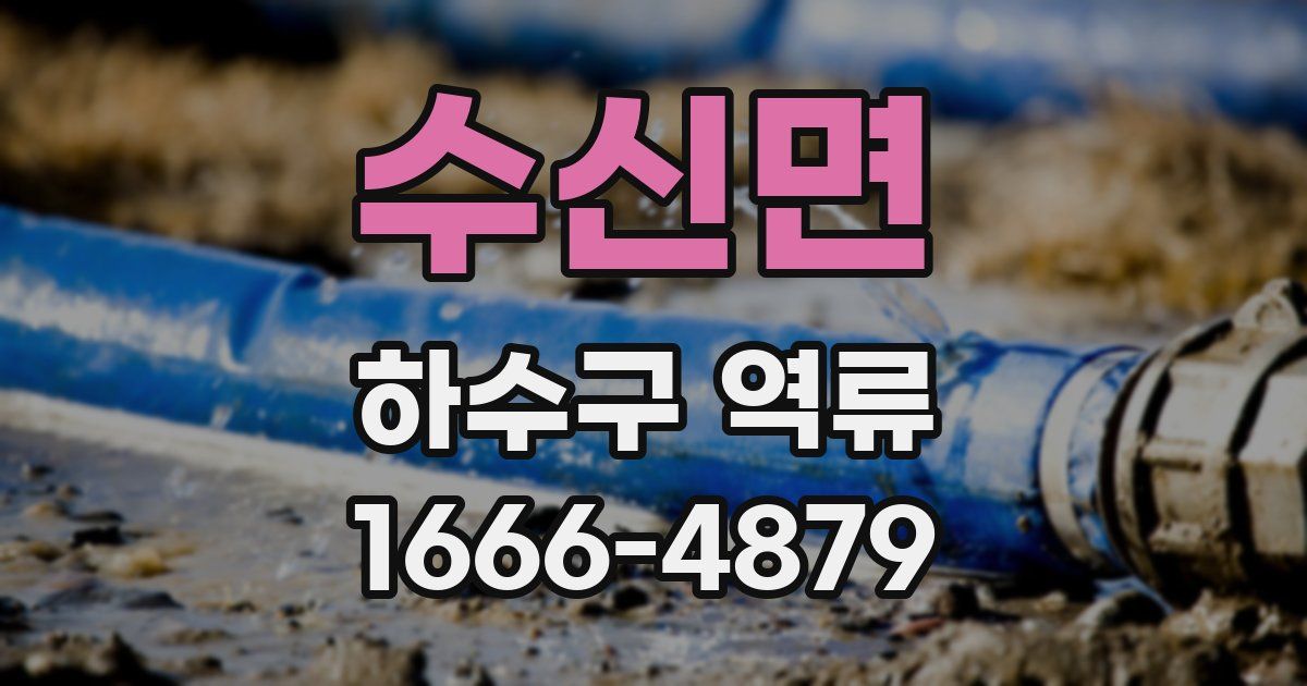 수신면 하수구 역류