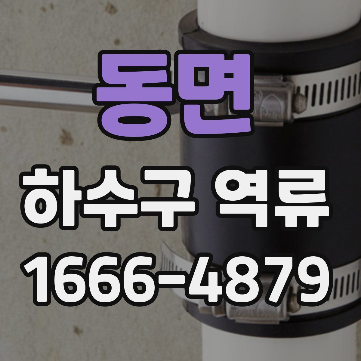 동면 하수구 역류